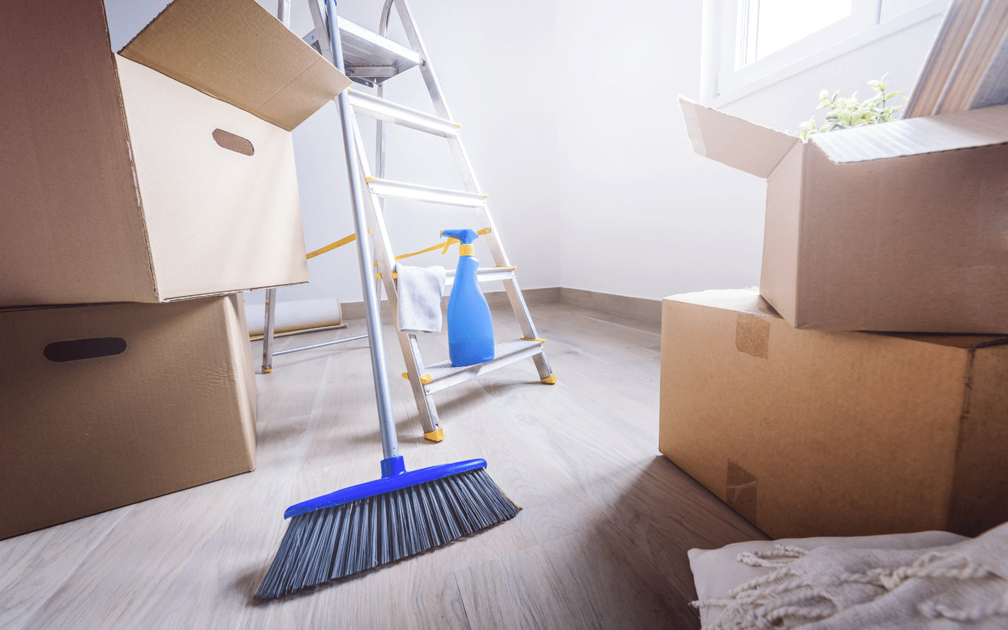 Move in/ Move Out Cleaners